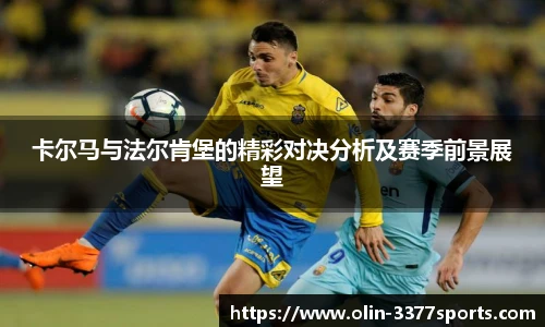 3377体育官网