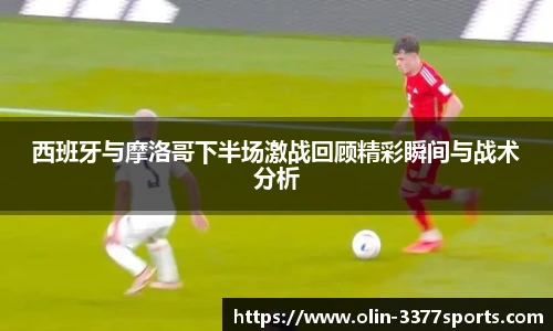 3377体育直播
