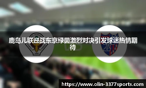 3377体育官网